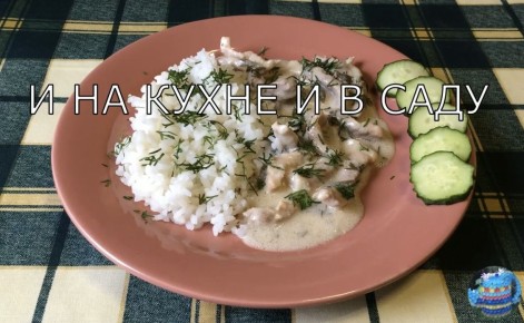 ������������: ���������� ��������, ������� ����������� ������