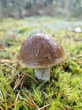 ������� �������� ���������� �����: ����� ���� ������ ��� �� ������