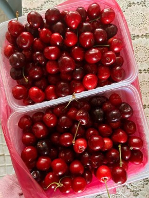 ������ ��������: ��� ����������, � ��� ����� ���������