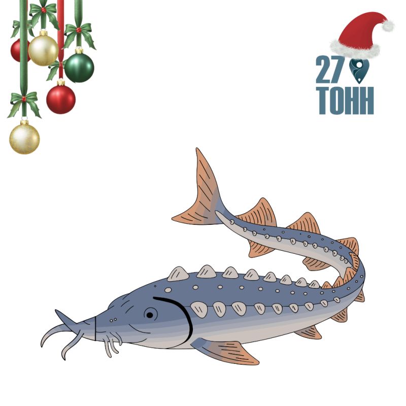 ��� ������� ��������� ���� � ������������ �����: ������ ���������