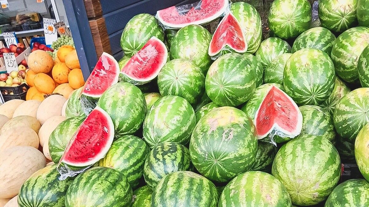 ��� ������� ��������� �����: ������� �������� �����������