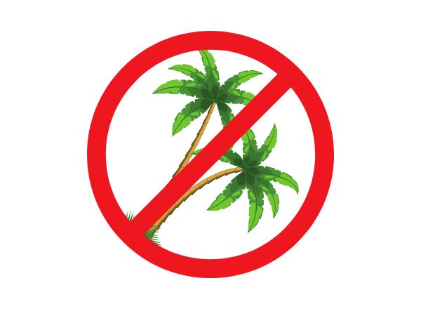 ��������� �����: ������������ ������� �� ��������