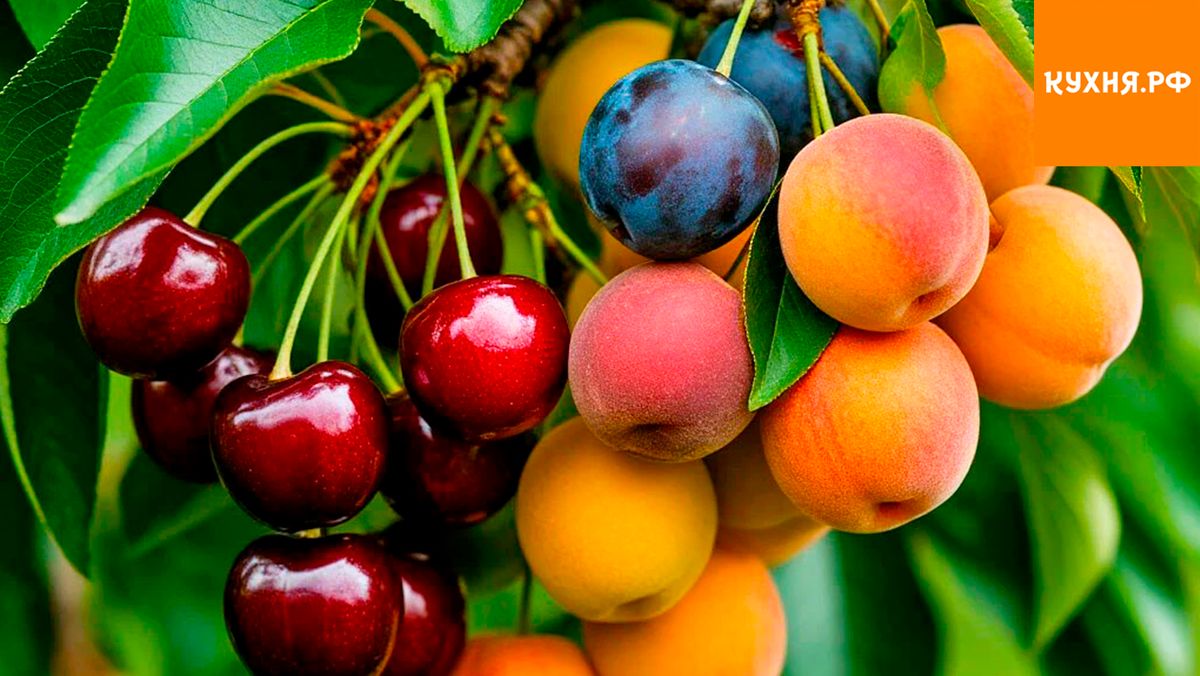 ����� ������ �� ����� �����: ��� �������� ����������� ���������