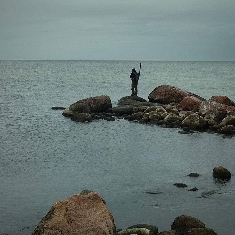 ������ � ������� �������: ����� �� ������� ������ � ���������