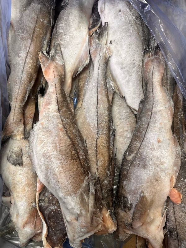 ����� � ������ ������: ���� � �����������