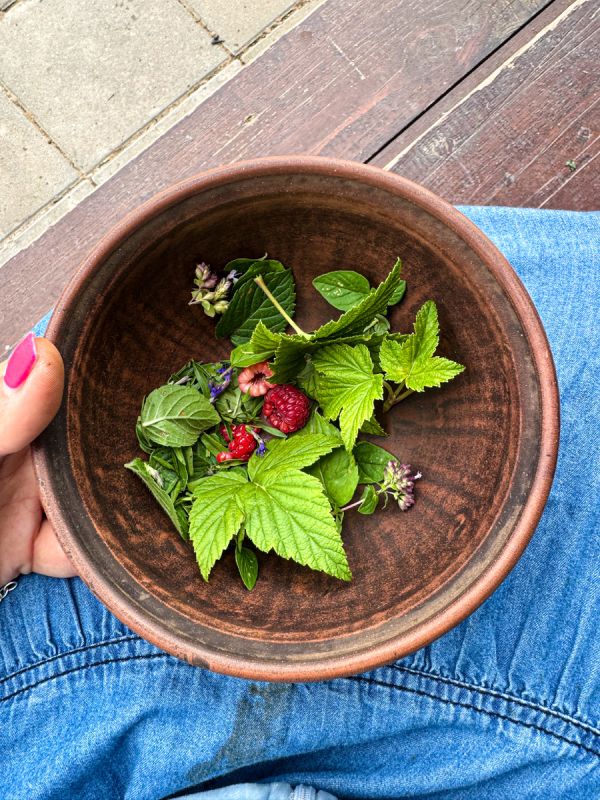 Идеи для уютной пряной грядки: создаем свой травяной уголок