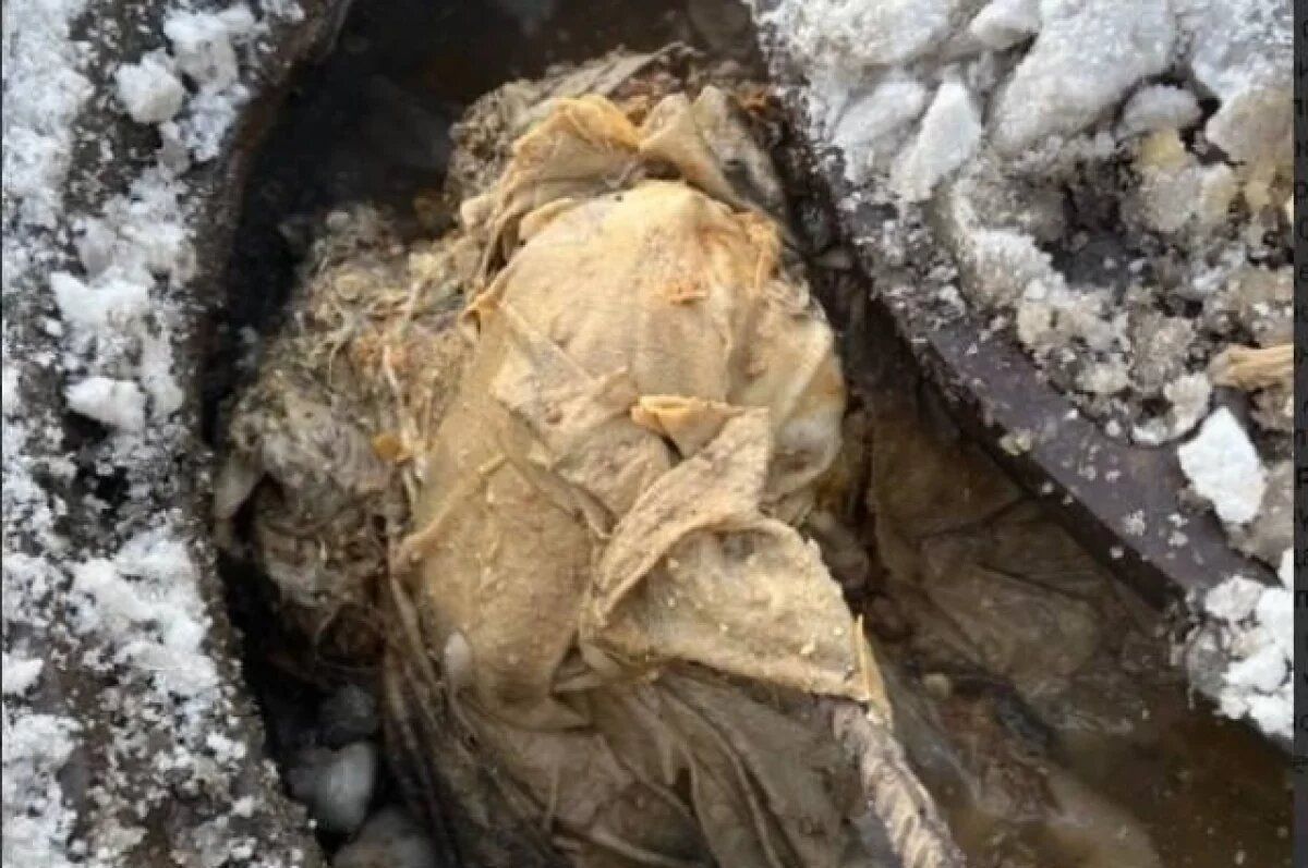 �������� � �������������� ����������: ������ � ������� ����� �������� ���������� ����