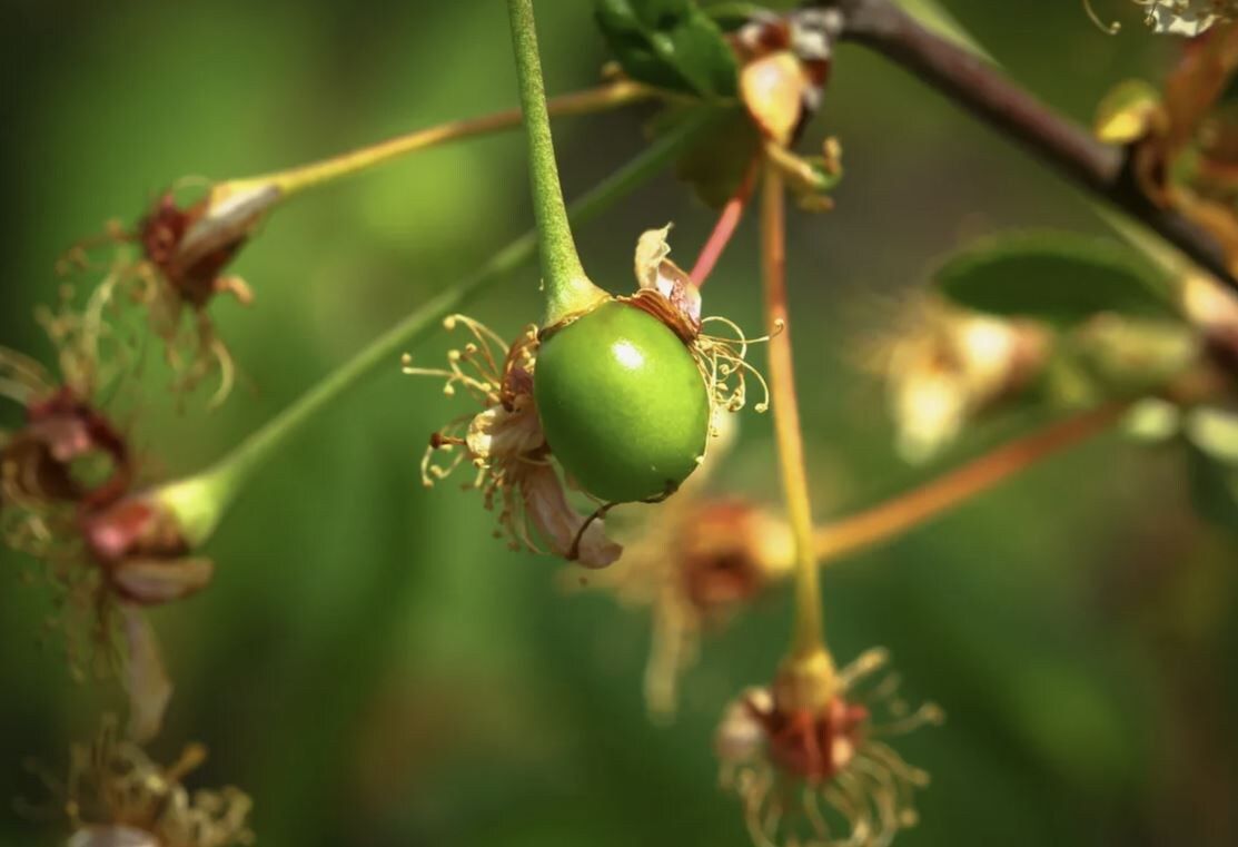 ������ ����� ������ ������: 6 ������ � ������ �� �������� ������