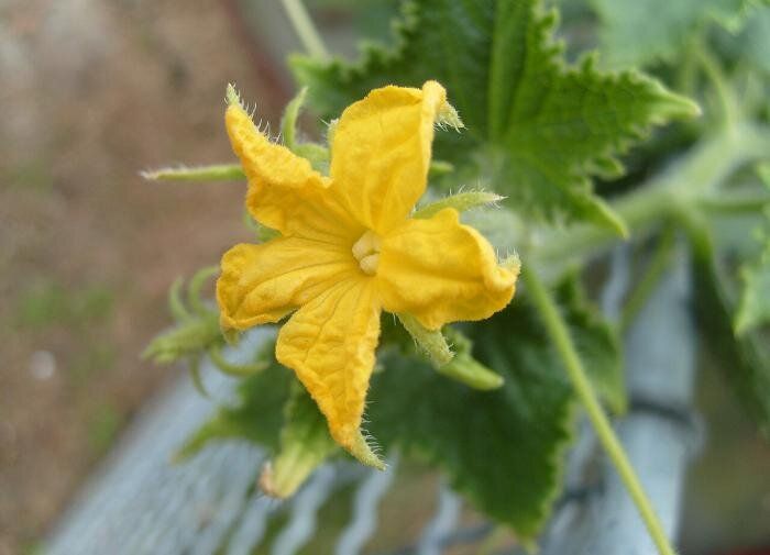 ������ ������� ������ ������� � ��� � ���� ������