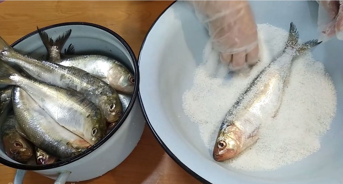 ����� �������� ����� ������� ������: ������� ����������� ����������