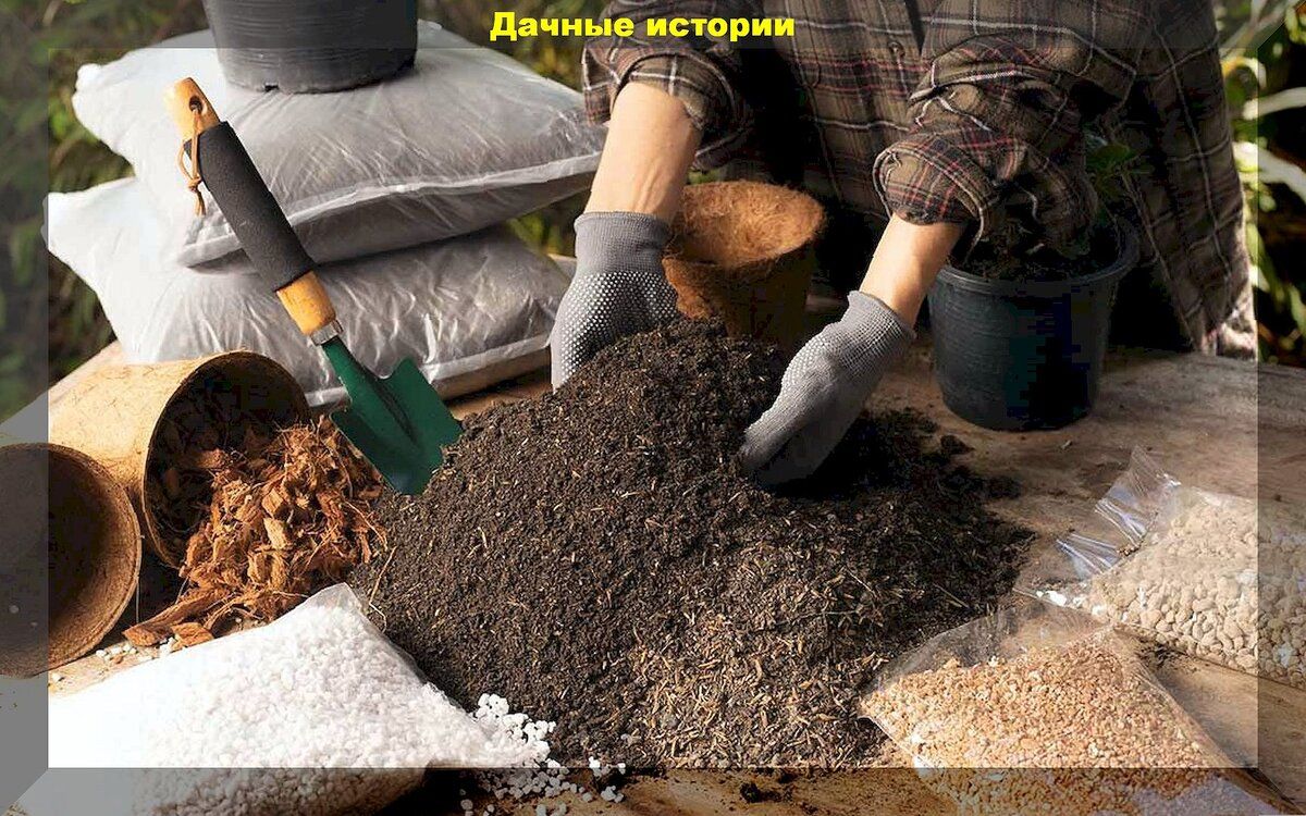 ���������� ������� ���������� ������ ��� �������