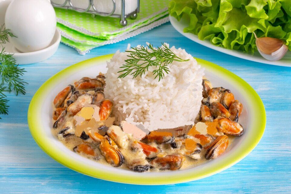 ����� � ��������-��������� �����: ��������� ��� ��������