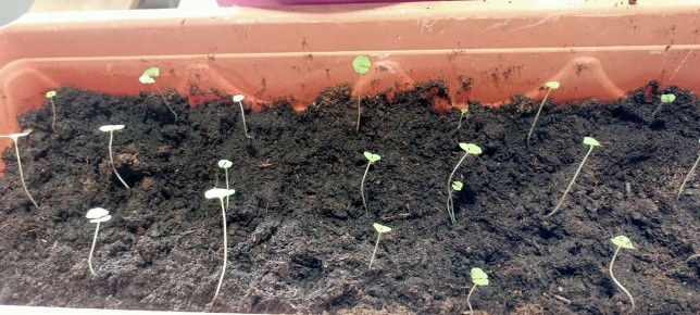 ��� ������� ��������� ��� � �� �������� ��������