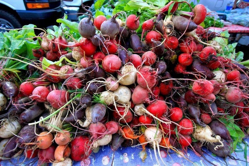 Лучшие сорта свеклы для вашего огорода: откройте разнообразие вкусов