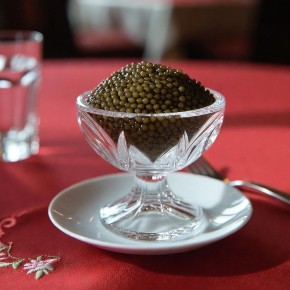 5 �����������, � ������� ������� �������