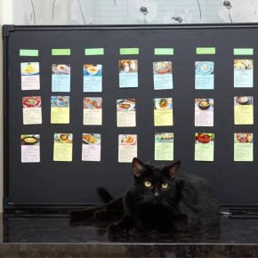 ������� ��� ��������� ������� ��� ��� ������ �����