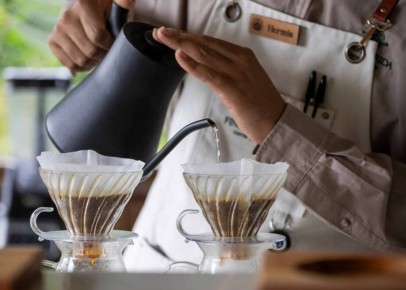 �������� ���: ������ ������ ��������� �������� �� ���� ����������