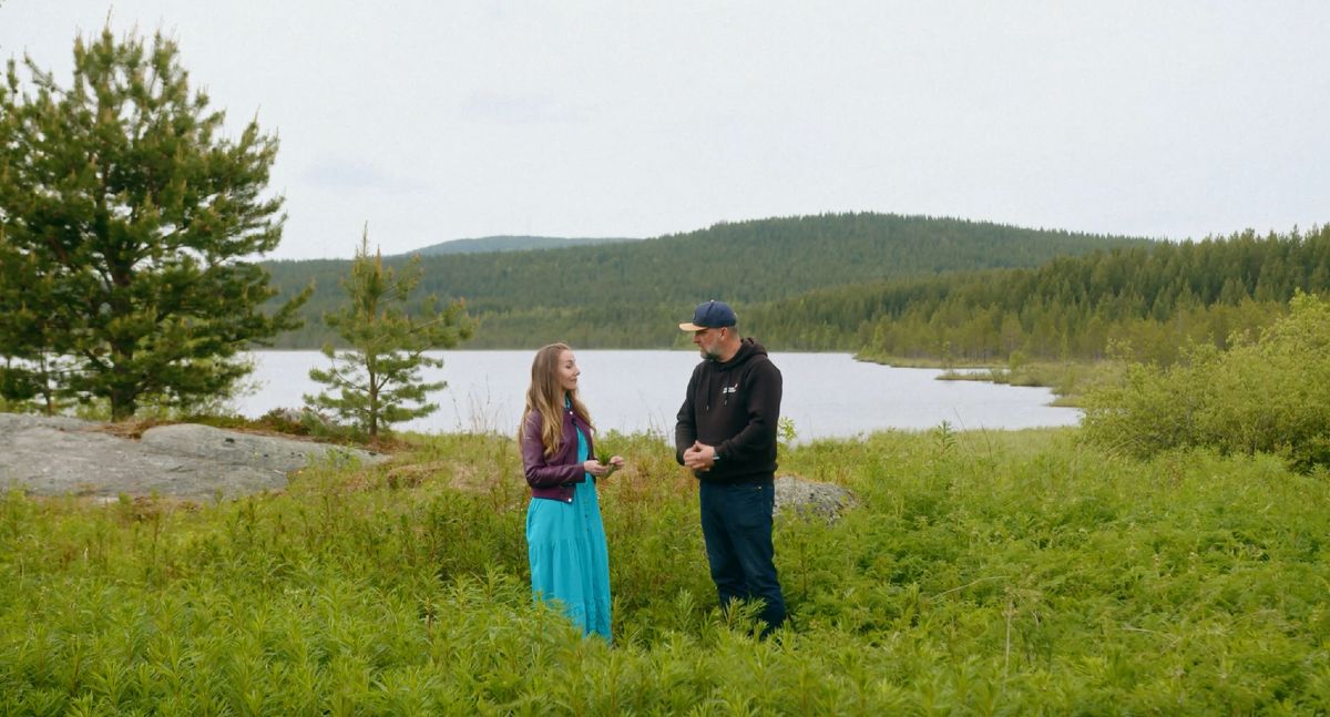 Иван-чай: вкусовое путешествие от древности до современной моды