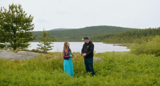 Иван-чай: вкусовое путешествие от древности до современной моды