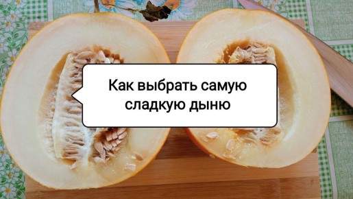 Как выбрать идеальную дыню: секреты сладости от узбекского эксперта