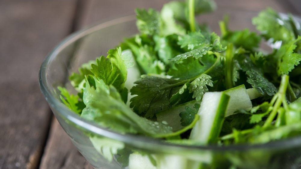 Сельдерей: удивительные свойства и вкусные кулинарные открытия