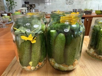 ������ �� ������������� �������: ��� ������� ������� �� ������ ������