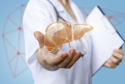 ������: ���� � ������ ��������