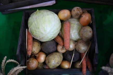 ������� ��� ������ �������� ��� �������