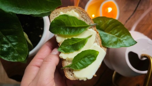 ������ ����������: ������������ ������� ���������� ��� ������ ����