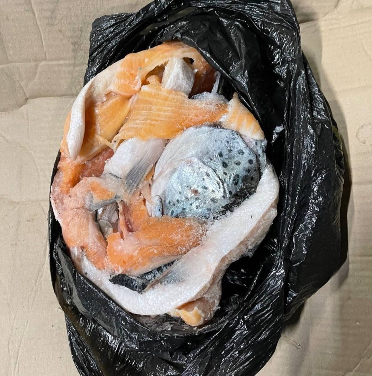 Новые наборы из свежей семги: ограниченное предложение