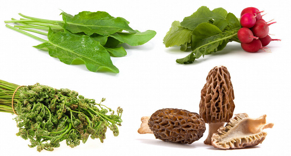 Апрельские дары природы: что стоит попробовать в этом месяце