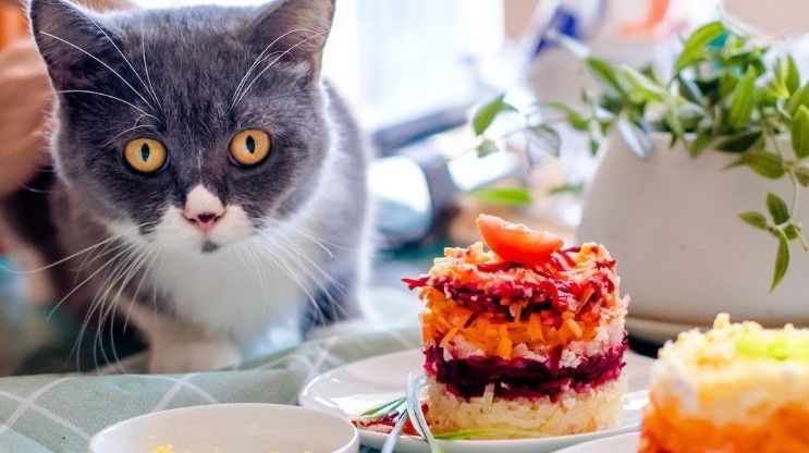 Почему майонезные салаты остаются неизменной классикой на наших праздниках