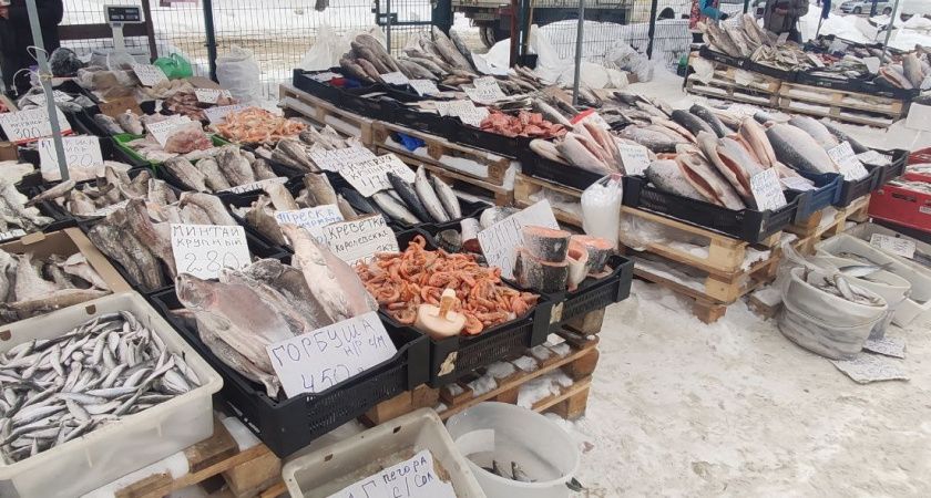 Как выбрать горбушу с икрой: простые советы по определению самки