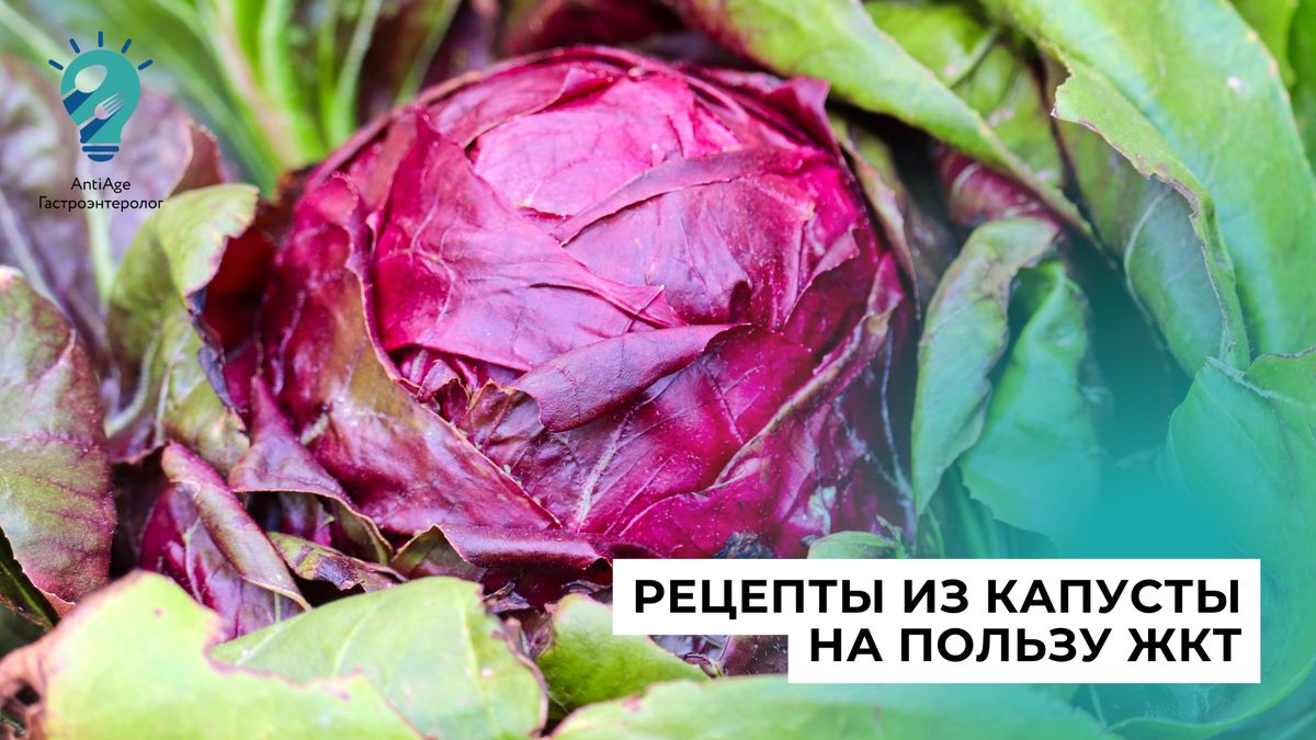 Капуста в вашем рационе: как выбрать лучший вид для здоровья ЖКТ