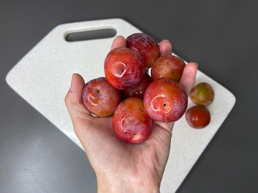 Нежный сливовый пирог, который стоит попробовать хотя бы раз в жизни