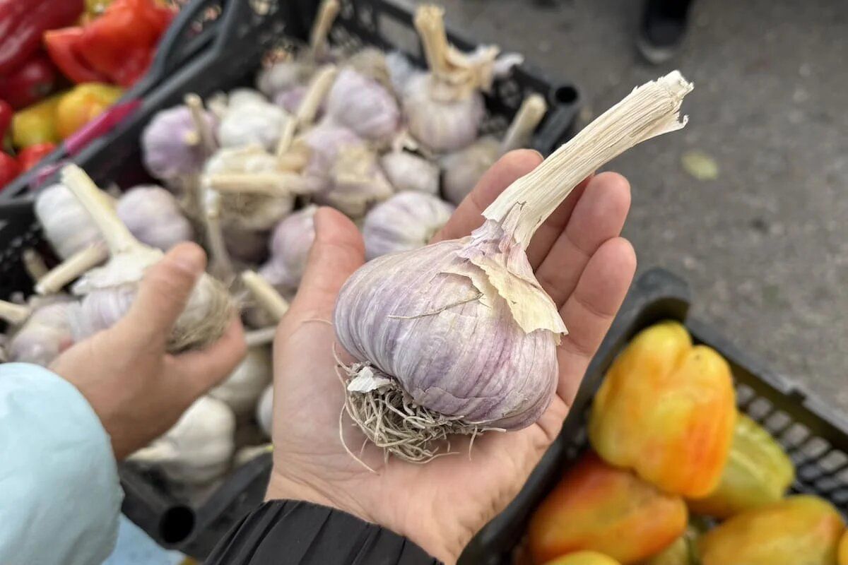 Запасы здоровья: лучшие продукты декабря для укрепления иммунитета