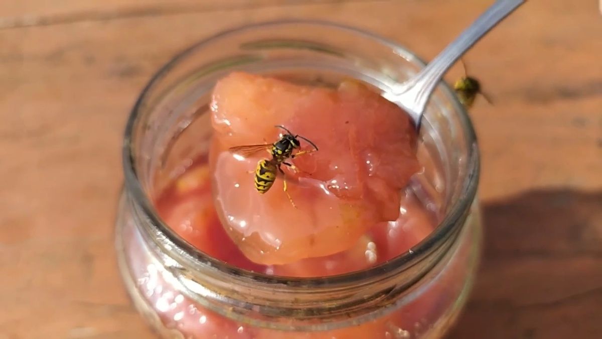 ������� ���������������� ������� �� ���� ��������