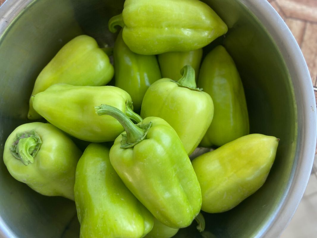 Необычные фаршированные перцы: легкий рецепт, который покорит всех