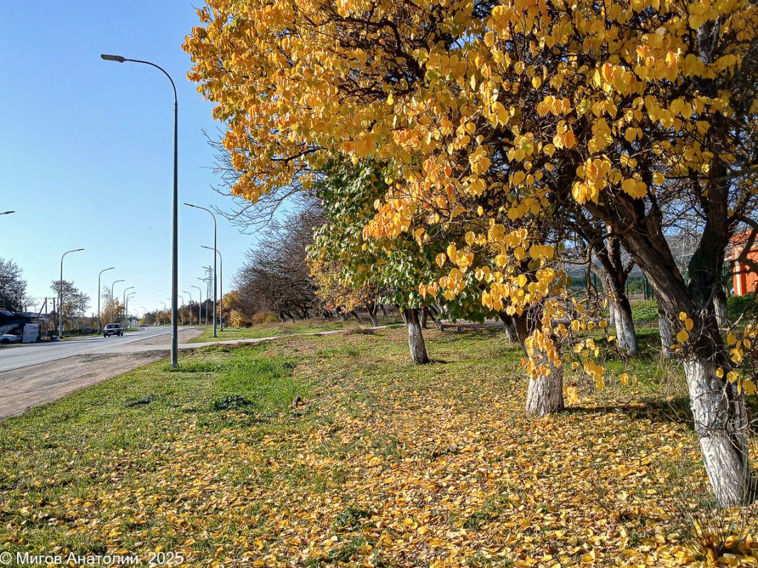 ����� ������� �����: �������� � ������������ ��������