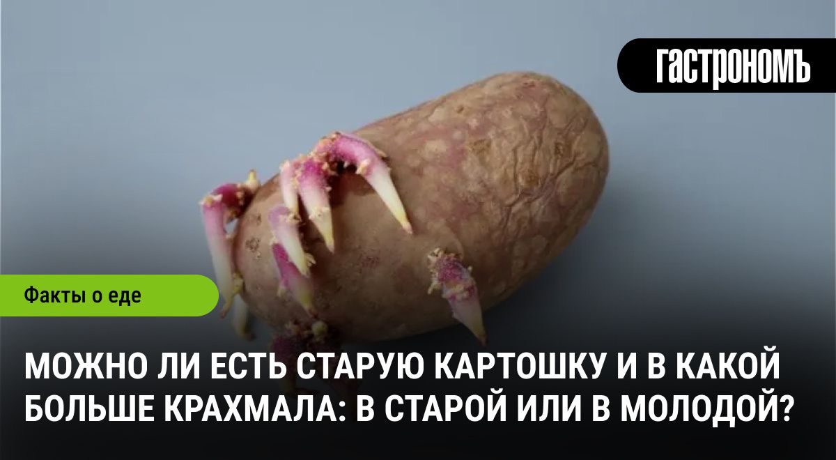 ������ ��������: ���� ��� �������� ��� ����������� �������?