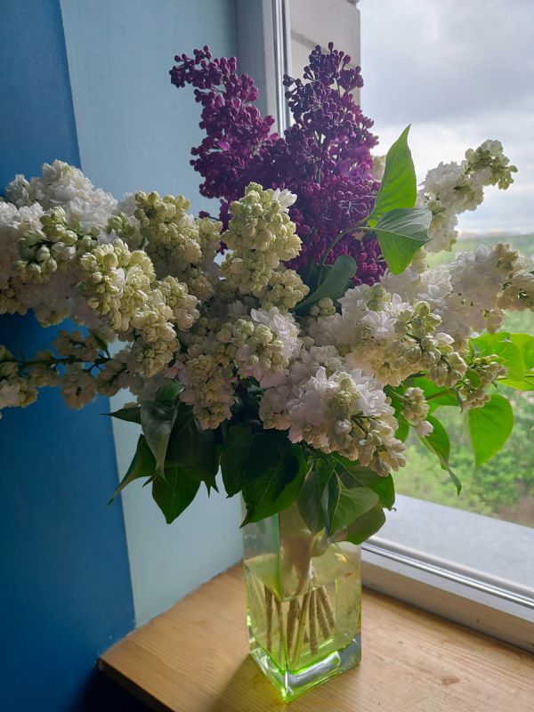 ������� ���� ��� ��������: ���� �� 24-25 ���