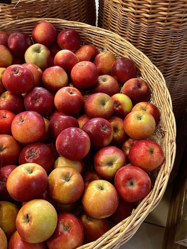 ������: �� �� ������� �� ������������ ��������