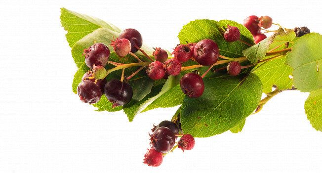 ����: ��� ������� ����, �������� � ������� �����