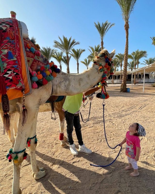 ���������� �������� �� ������: ��� �������� �� ������� � ���� ��� �����