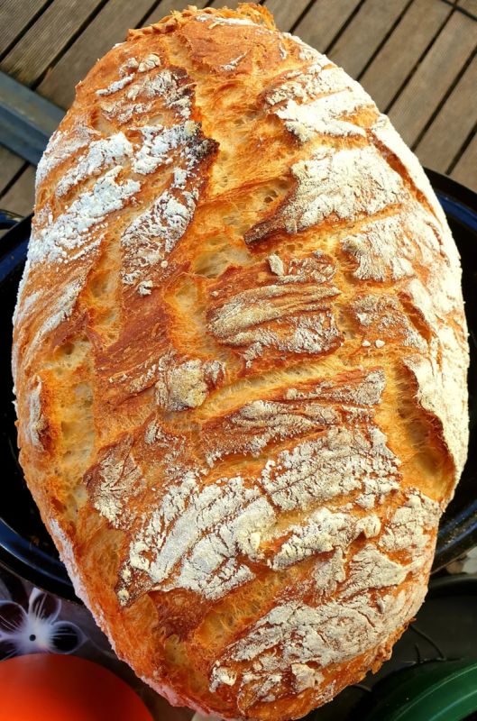 ��� ����� ������� �������� ���� � ��������� ��������