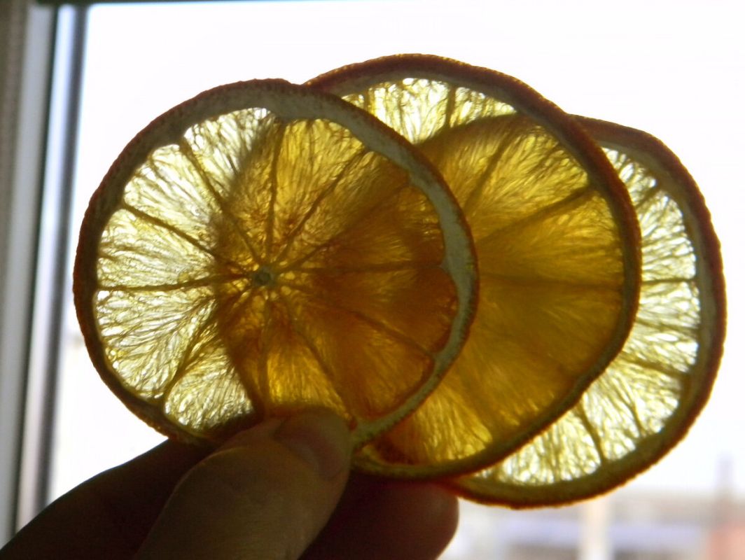 ����� ����� �� ���������: ������� ������� ��� ������ �������