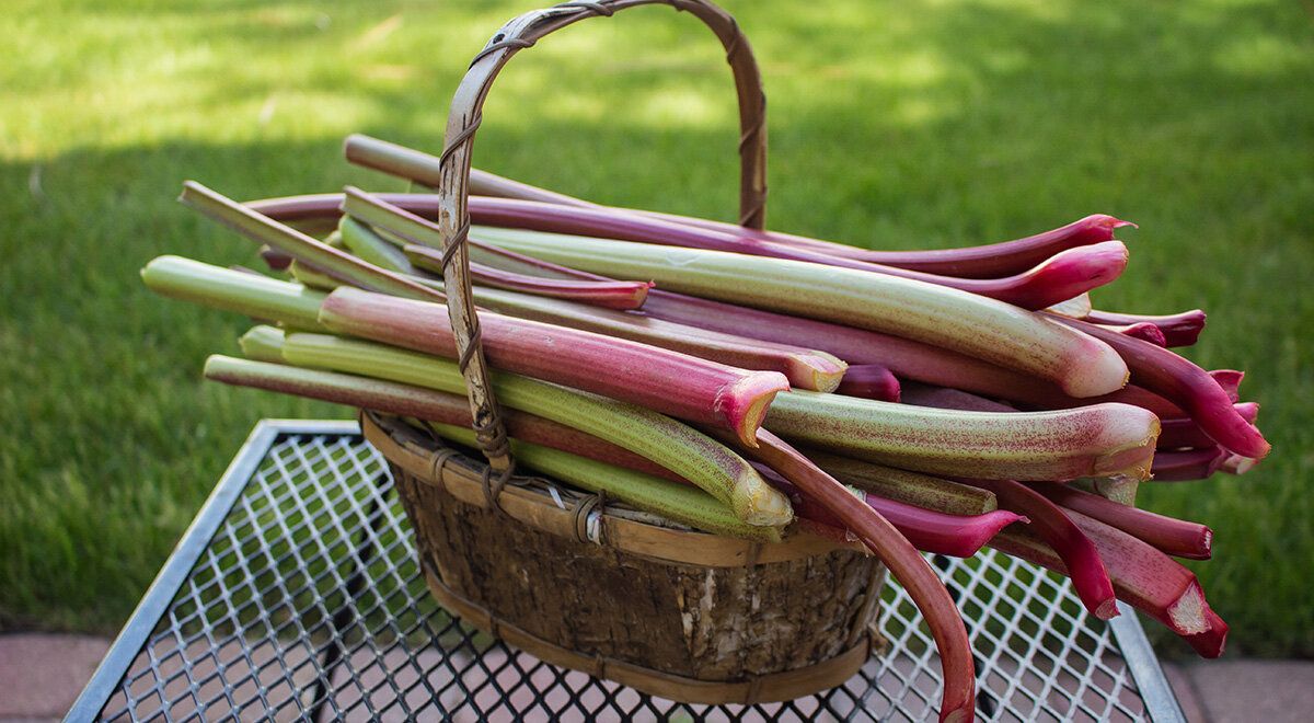 ������: �������� ������� ��������� ��� ����� ������� � ��������