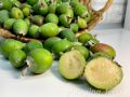 Как заготовить фейхоа на зиму: простой и вкусный рецепт