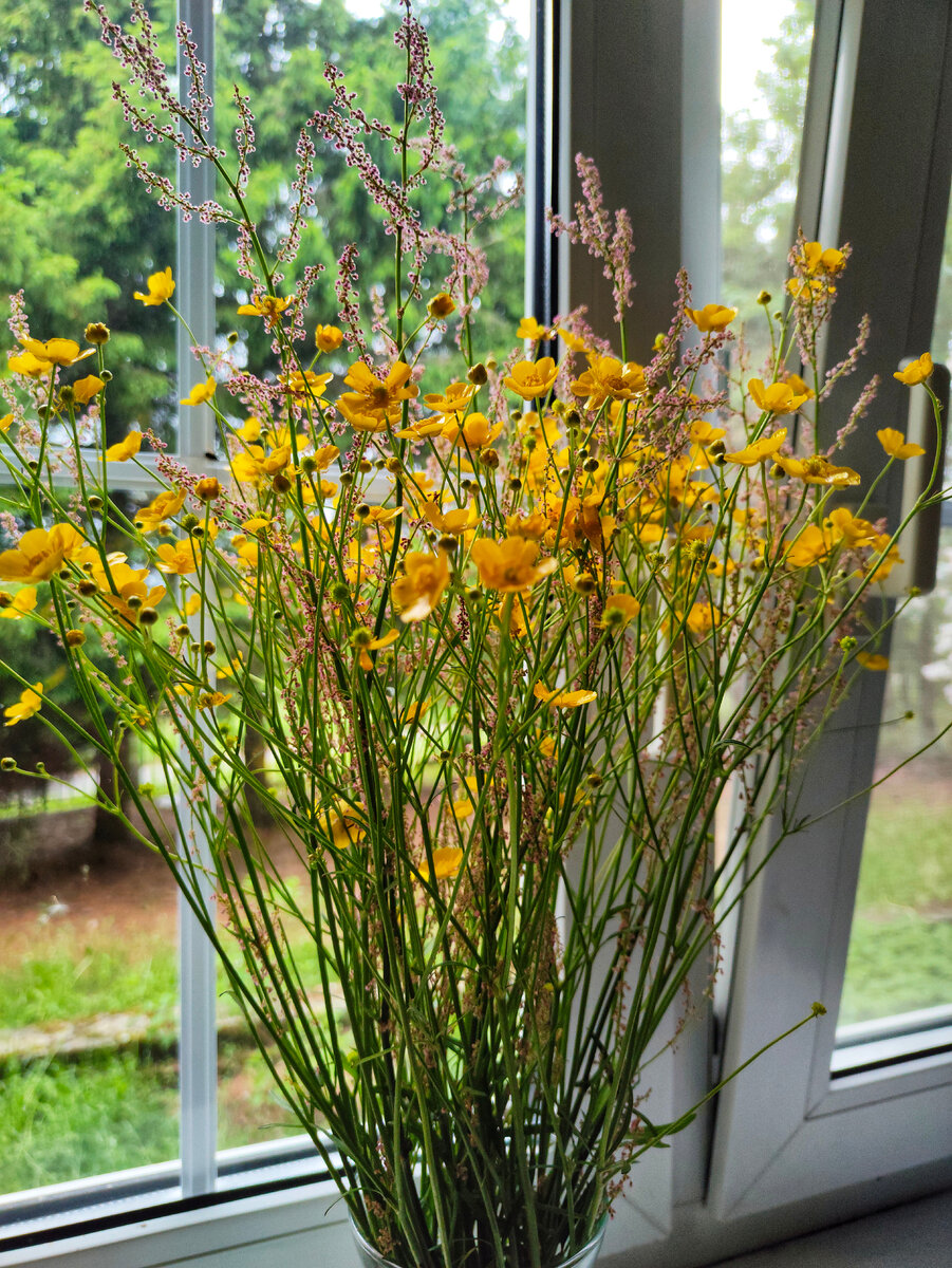 Летние радости: новые кулинарные вдохновения для жарких дней