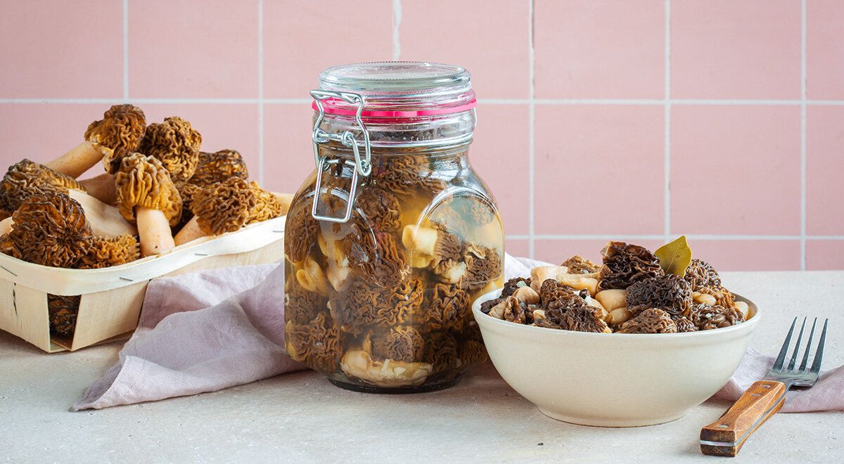 ������������ ������� � ������� � ����������